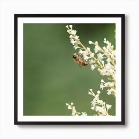 Flowers Wild Bee Art Print