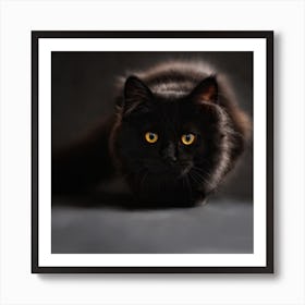 Black Cat With Yellow Eyes Art Print
