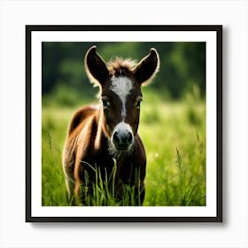 Grass Horse Green Brown Meadow Nature Young Baby Head Mammal Cow Calf Wild Donkey Pony (6) Art Print