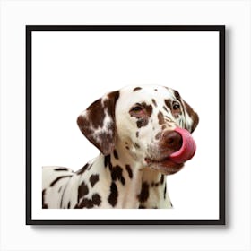 Dalmatian Dog Art Print