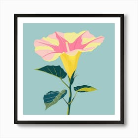 Morning Glory 4 Square Flower Illustration Art Print