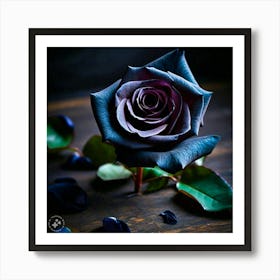 Dark Rose Art Print