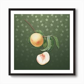 Vintage Duracina Peach Botanical on Lunar Green Pattern Art Print