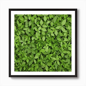 Green Leaves Background Art Print