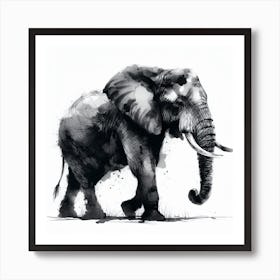 Elephant Canvas Print Art Print