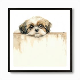 Shih Tzu 11 Art Print