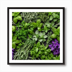 Fresh Herbs On A Black Background 3 Art Print