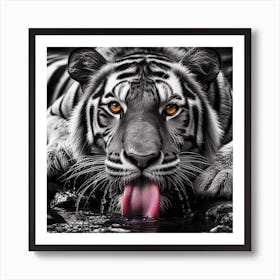 Tiger 3 Art Print