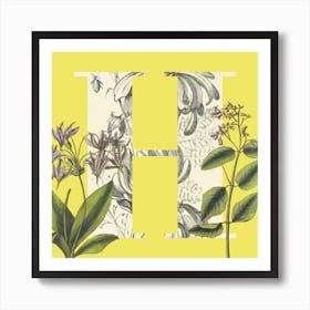 Botanical H Art Print