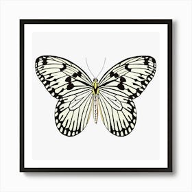 Butterfly Black & White Art Print