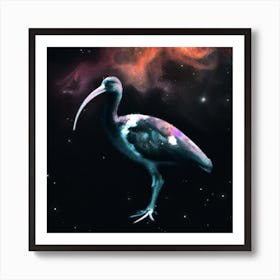 Ibis embraces eternity Art Print