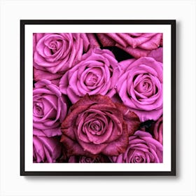 Pink Roses Art Print