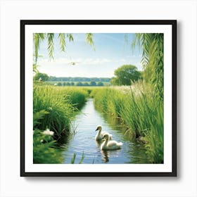 Wallpaper Capturing A Serene Summertime Countryside Two Cygnets Navigating A Vibrantly Green Stream Art Print