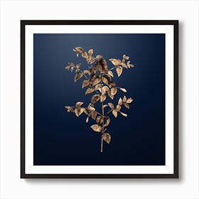 Gold Botanical Tree Fuchsia on Midnight Navy n.3062 Art Print