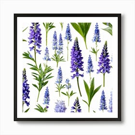 Nature Pattern Isolate White Arrangement Purple Flat Floral Blue Natural Herbal Medicine (9) Art Print