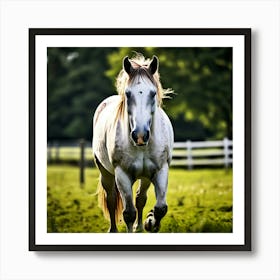 White Horse Galloping 6 Art Print