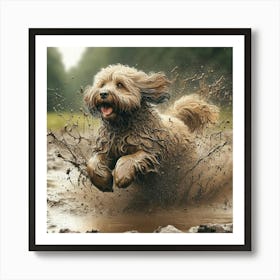 Dog Running In Mud 6 Art Print