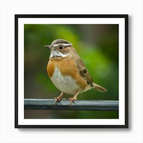 Small Bird Perched On A Wire Art Print