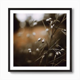 Low Light Nature No 8 Art Print