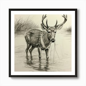 Deer In Water 17 Art Print