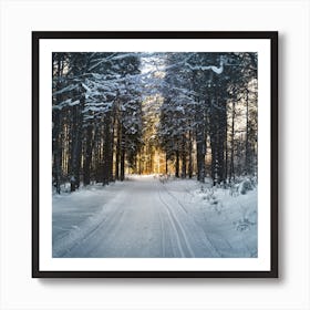 Winter Road In The Forest Art Print