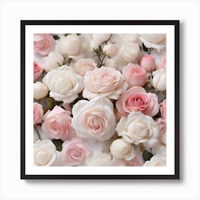 White and pink roses Art Print