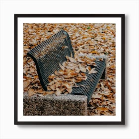 Autumn Leaves Art Print