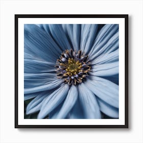 Blue Daisy Art Print