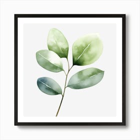 Green Leaves On A Black Background Art Print