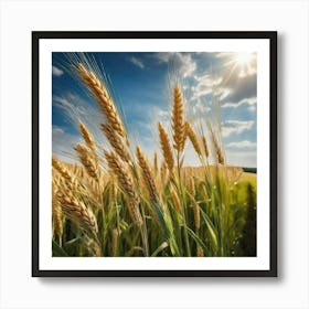 Wheat Field With Sun Art Print