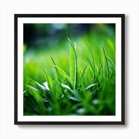 Grass Plant Texture Green Detail Nature Fresh Beautiful Summer Natural Spring Ecology Be (2) Art Print