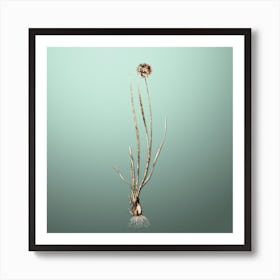 Gold Botanical Allium Foliosum on Mint Green Art Print