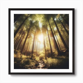 Photograph - Stream In A Forest Art Print