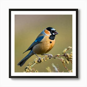 Rufous Tit Art Print