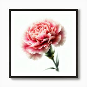 Carnation 1 Art Print