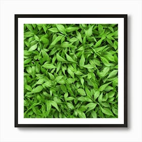 Close Up Of Green Leaves 1 Art Print