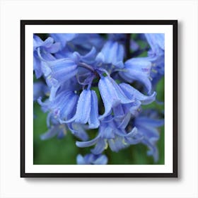 Blue floral Art Print