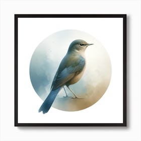 Bluebird Art Print