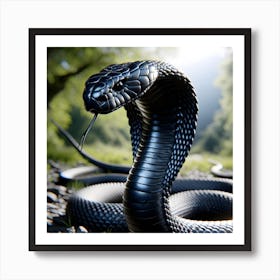 Black Cobra Art Print