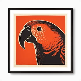 Retro Bird Lithograph Macaw 2 Art Print