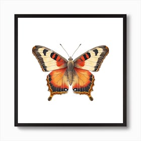 Butterfly 31 Art Print