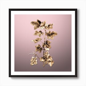 Gold Botanical Redcurrant Plant on Rose Quartz Art Print