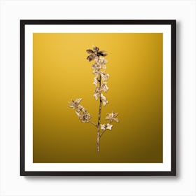Gold Botanical February Daphne Flowers on Mango Yellow n.3740 Art Print