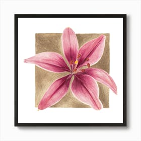 Pink Lily Gold Frame Art Print