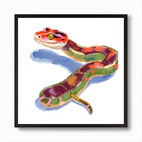 Red Tailed Boa Snake 06 Art Print