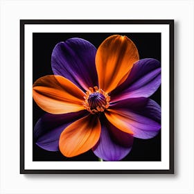 Purple Dahlia Flower 3 Art Print