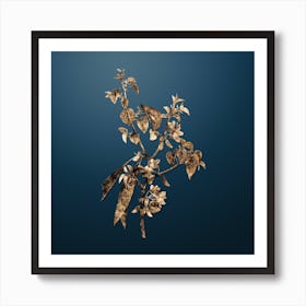 Gold Botanical Judas Tree on Dusk Blue n.0440 Art Print