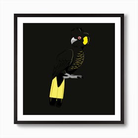 Yellow Tailed Black Cockatoo Art Print
