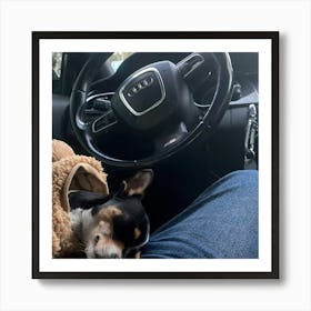 Dog Sleeping In Car Art Print