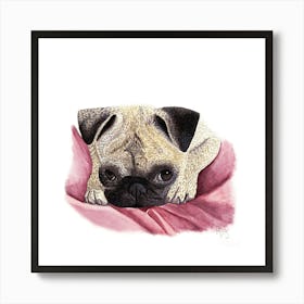 Cute pug in bed Art Print